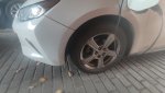 IMG_20211025_073134.jpg