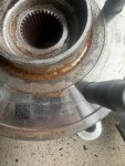 IMG_1654.jpeg